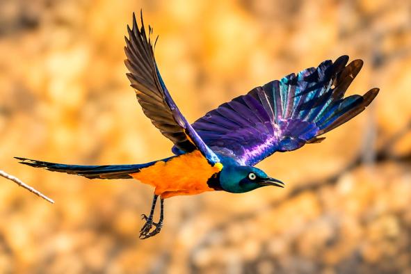 image-315